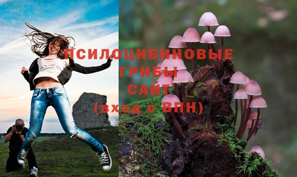 МДМА Кукмор
