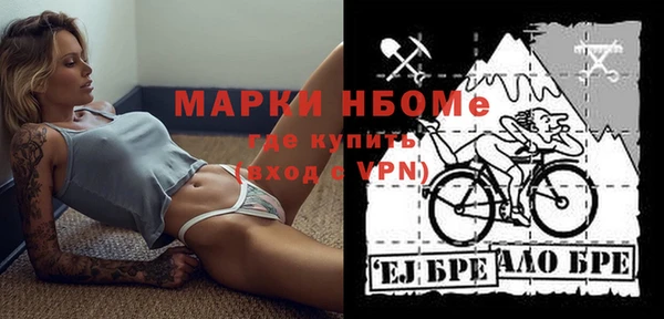 шишки Краснотурьинск